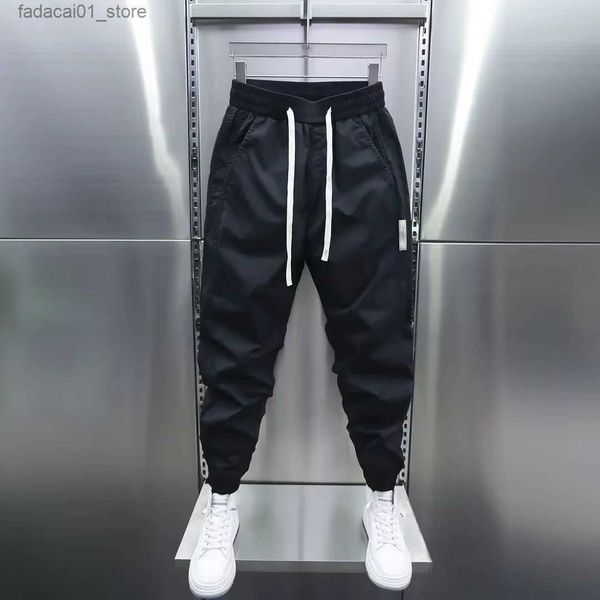 Pantaloni da uomo Pantaloni cargo da uomo Harem Y2K Tattico militare Techwear Pantaloni cargo Hip Hop da esterno di alta qualità Uomo Pantaloni da jogging casual Q240305