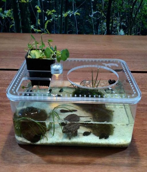 Kunststoff Transparent Aquarium Insekten Reptil Zucht Fütterung Box Große Kapazität Aquarium Lebensraum Wanne Schildkröte Tank Plattform2511633