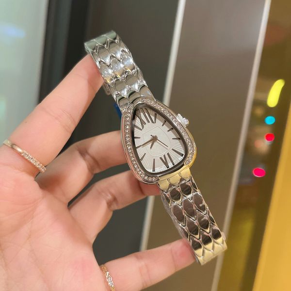 Luxury Women's Watch, tamanho de 32 mm do relógio feminino adota o molde de quartzo importado do tipo Double Type Type Snake