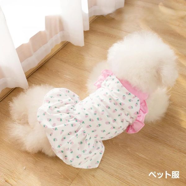 Vestuário para cães Pet fino urso de pelúcia pequeno primavera morango laço princesa vento saia roupas filhote de cachorro vestido de verão roupas de luxo