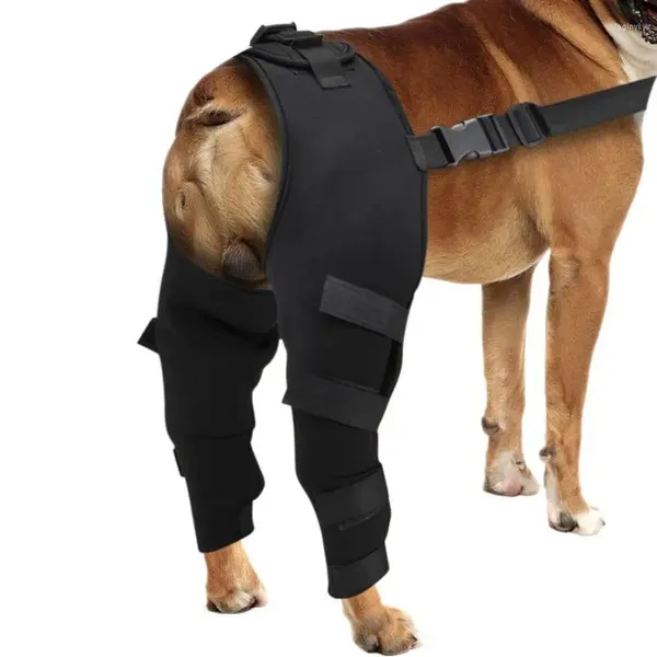 Vestuário para cães Hip Brace Ajustável Pet Pernas Protetor Apoiador Joelho Traseiro Perna Apoio Joint Envoltório Para Animais de Estimação Recuperar Suprimentos