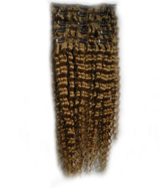 Brasilianisches Echthaar, Honigblond, Afro-Kinky, Clip-in-Extensions, 100 g, 7 Stück, Clip-in-Echthaarverlängerungen 9360630