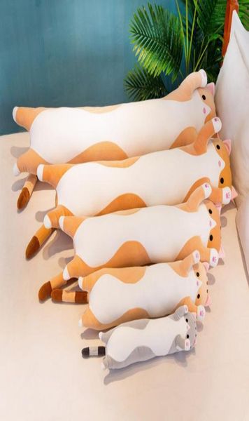 Simanfei Gato Bonito Recheado Brinquedo De Pelúcia Bonecas Dakimakura Almofadas Decorativas Para Costas Encosto Viagem Travesseiro Corporal Cama Carro MX2007169091679