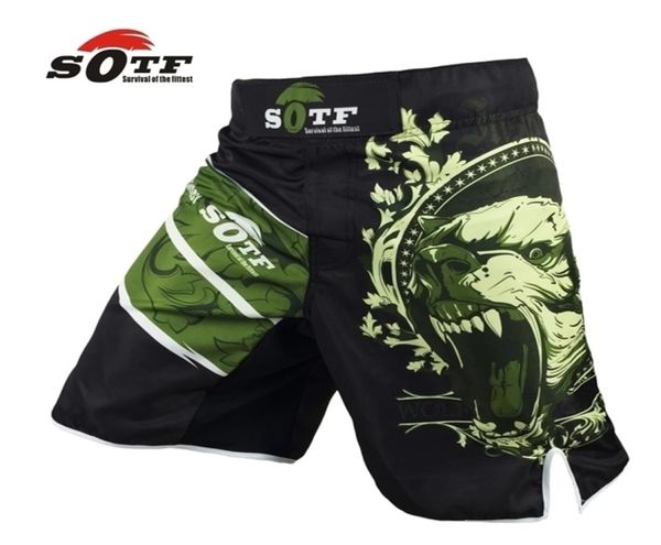 SOTF Urso Verde respirável algodão boxer shorts treinamento esportivo mma luta roupas curtas muay thai boxe 2012165734791