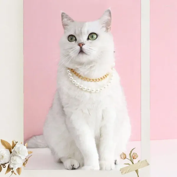 Cão vestuário gato colar bowknot decoração falso pérola filhote de cachorro all-match pet pogal prop para festival gatinho acessórios