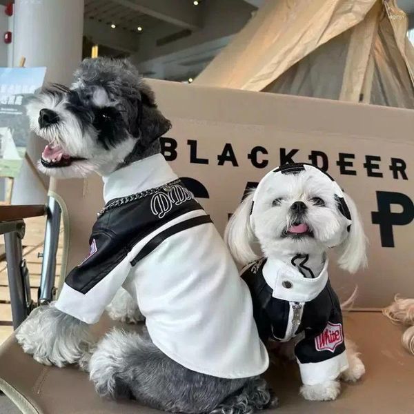 Abbigliamento per cani Giacca in pelle bianca nera Abbigliamento Moda Cerniera a strisce Piccoli vestiti Gatto Fresco e confortevole Articoli per animali domestici all'ingrosso