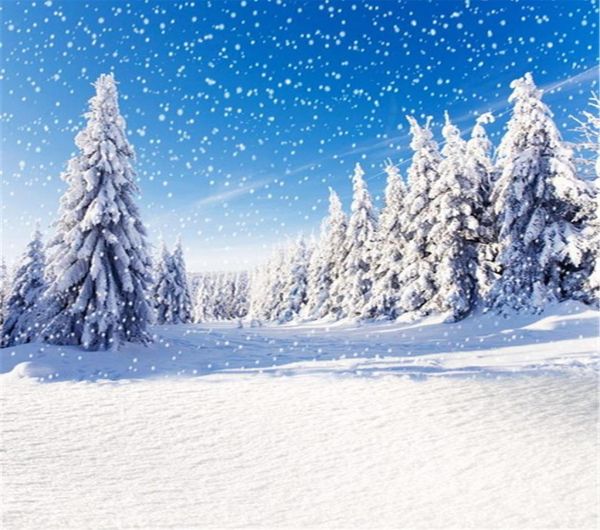 Cenário de floco de neve caindo de céu azul para pografia, pinheiros cobertos de neve espessa, estrada ao ar livre, cenário de férias de inverno, estúdio po 3334850