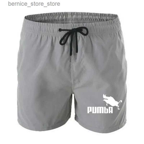 Shorts masculinos 2024 verão mens cintura elástica shorts casuais calças esportivas respirável secagem rápida sexy praia shorts natação haste q240305