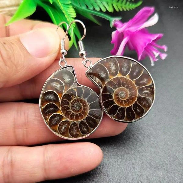Orecchini pendenti 5 paia di ammonite naturale lumaca conchiglia conchiglia pietra curativa gancio di moda per gioielli da donna