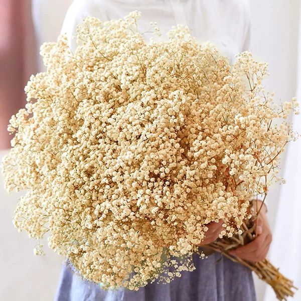 Trockenblumen Schleierkraut-Strauß Elfenbeinweiß Natürliche Schleierkrautzweige für Heimdekoration Hochzeit Trockenblumen Großpackung für Vase 240301