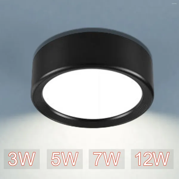 Plafoniere LED Down Light Montaggio superficiale Mini Faretto per portico interno 3 colori 3/5/7/12W 220V Per sala espositiva Soggiorno