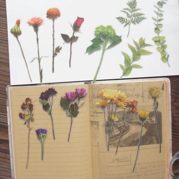 Geschenkpapier 28 Stück Pick Flower Leave Make Herbarium Style PVC-Aufkleber Scrapbooking DIY Verpackung Siegeletikett Dekoration Tag