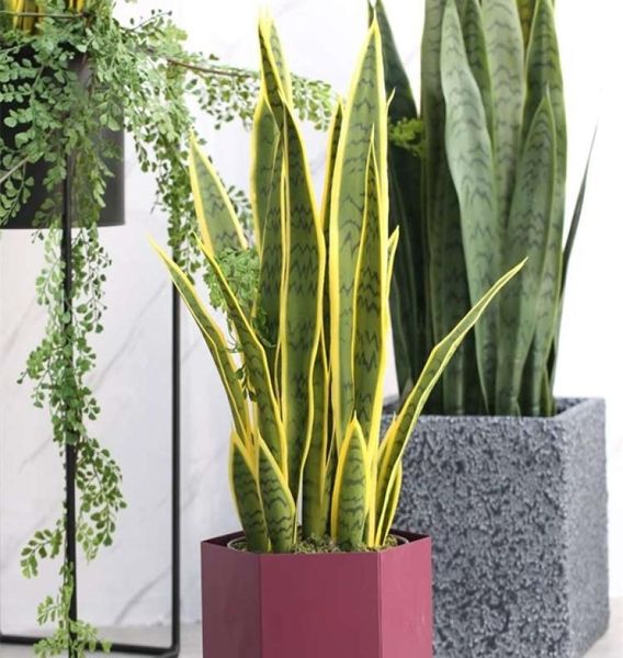 60 cm Artificial Sansevieria Trifasciata Tamanho Grande Planta Tropical de Alta Qualidade Suculenta Presente Decoração de Casa Vitrine de Loja C04298543