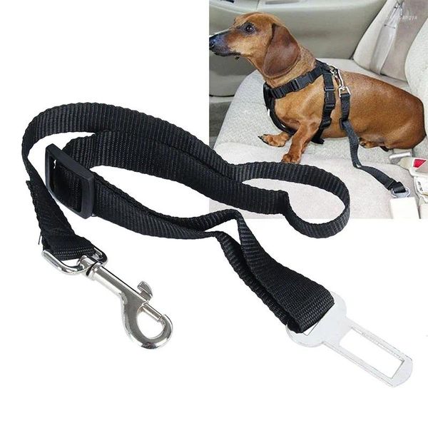 Collari per cani Cintura di sicurezza Cinture di sicurezza Imbracatura per auto Cintura di sicurezza in nylon resistente regolabile Guinzagli di sicurezza per animali domestici