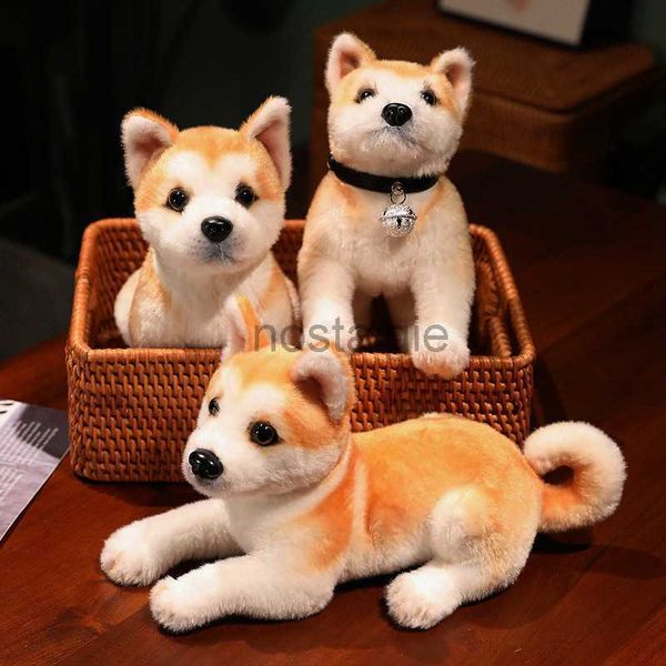 Hayvanlar 2530cm Simülasyon Akita Peluş Oyuncak Doldurulmuş Yaşam Nice Shiba Inu Köpek Yumuşak Yastık Bebek Oyuncakları Çocuklar İçin Kızlar Kızlar Hediye Dekor 230617 240307