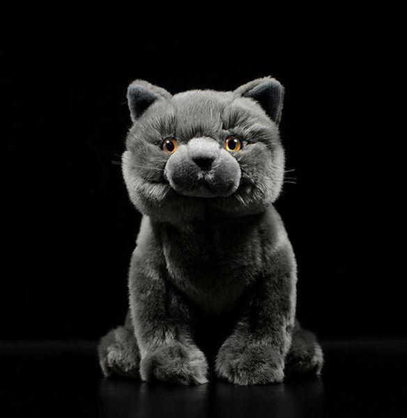 Simulazione Simpatico gatto British Shorthair Tabby Felinae Peluche morbido peluche Gattino grigio Vita reale Animale per bambino Regalo di Capodanno Q05551621