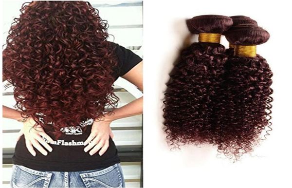 Afro Kinky Burgundy Brezilyalı insan bakire saç demetleri Afro Kinky Kıvırcık İnceleme Şarap Kırmızı Saç Uzantıları 3pcs Lot Burgundy Hai3654169