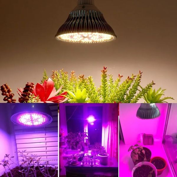 La lampada da coltivazione Sunshine a spettro completo 281b 2835 E27 26W 85-277Vac ha 200 pezzi LED per la crescita di funghi succulenti