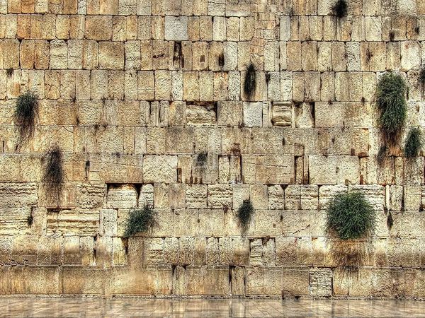 Gli arazzi decorano le stanze della città di Gerusalemme sul muro occidentale 240304