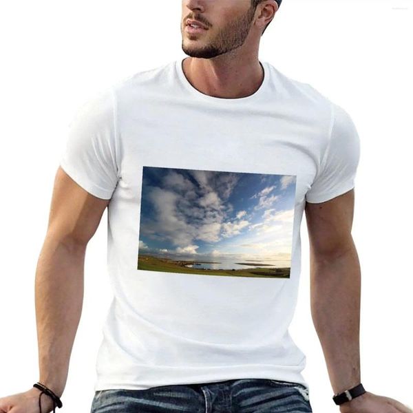 Polo da uomo Sunshine Over Scapa Flow T-shirt nere Camicie vintage T-shirt grafiche Magliette carine T per uomo Cotone