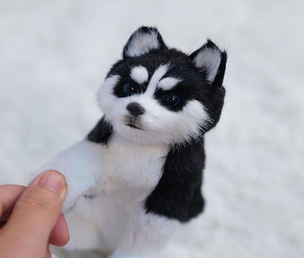 Realista husky cão simulação brinquedo de pelúcia cão lifelike brinquedo de pelúcia animal de estimação filhote de cachorro para crianças brinquedos artesanais do cão q01138206219