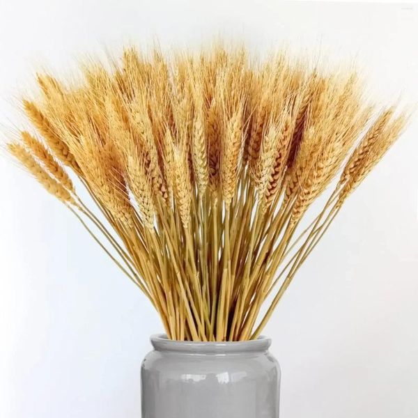 Fiori decorativi Spiga di grano naturale Fiore essiccato per Boho Decorazioni per la casa Tavolo Matrimonio Chriatmas Decorazione per feste autunnali Piante conservate fai da te