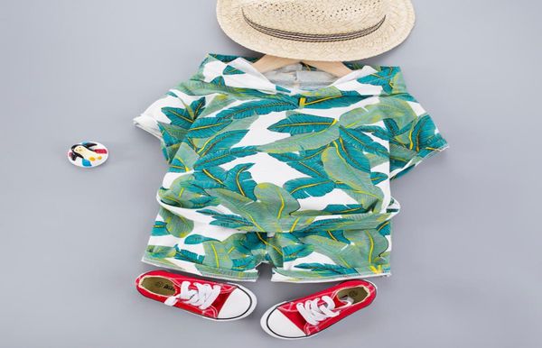 Hawaii Baby Kleidung 14 Jahre Jungen T-shirt Mit Kapuze Shorts 2PCS Kinder Urlaub Kostüm Baumwolle Kleinkind Kinder Kleidung Outfits LJ2008147420796