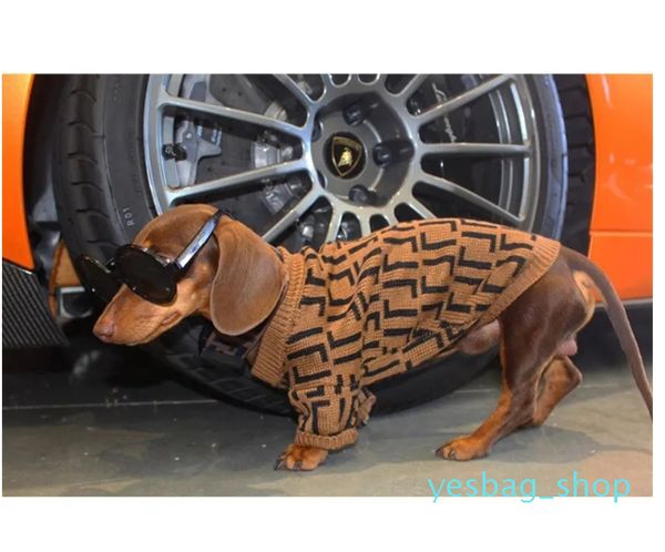 Inverno Pet Casaco DesignerClothesPuppy Suéteres Letra F Cães de Luxo Roupas Animais de Estimação Apperal Suéter Quente Para Grande Roupa de Cão 21ss