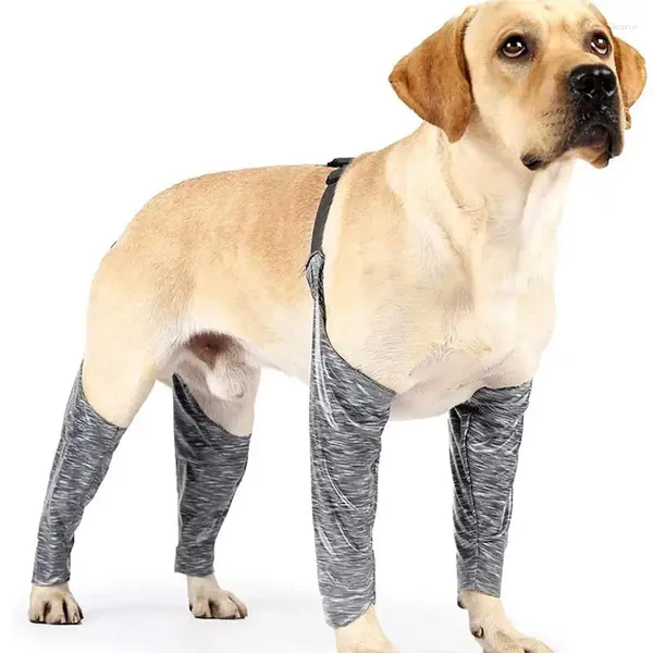 Abbigliamento per cani, manica da leccare le gambe, supporto impermeabile, tutore per gambe anteriori e posteriori, maniche, pantaloni per evitare leccature anti-sporco