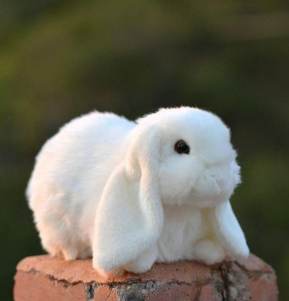 simulazione lepre coniglio dalle orecchie lunghe bambola di pezza coniglio bianco peluche bambola animale decorazione auto regali di festa 27 cm DY508773266400