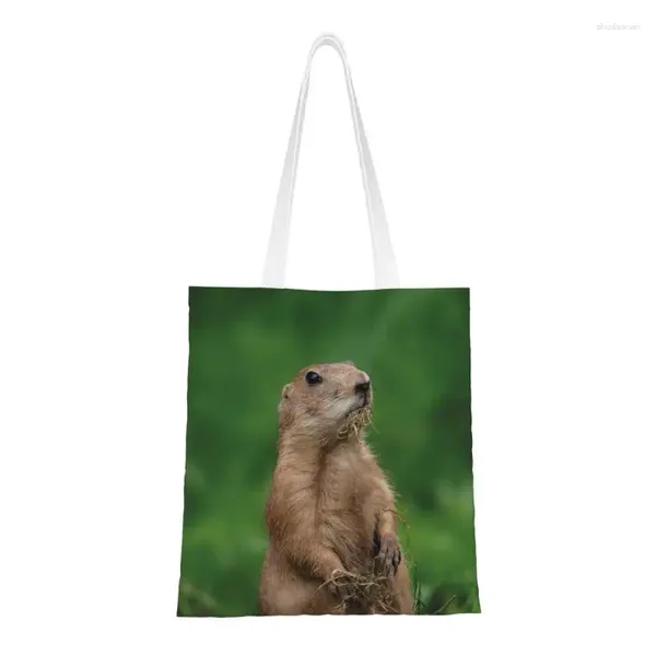 Borse per la spesa Prairie Dogs Groceries Tote Donna Personalizzata Non ho scavato il giardino Shopper a spalla in tela Borse grandi