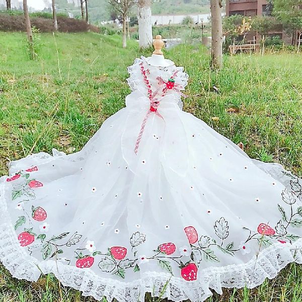 Köpek giyim evcil hayvan giysileri lüks el yapımı çilek baskı lolita düğün prenses prenses elbiseler küçük orta chihuahua ceket