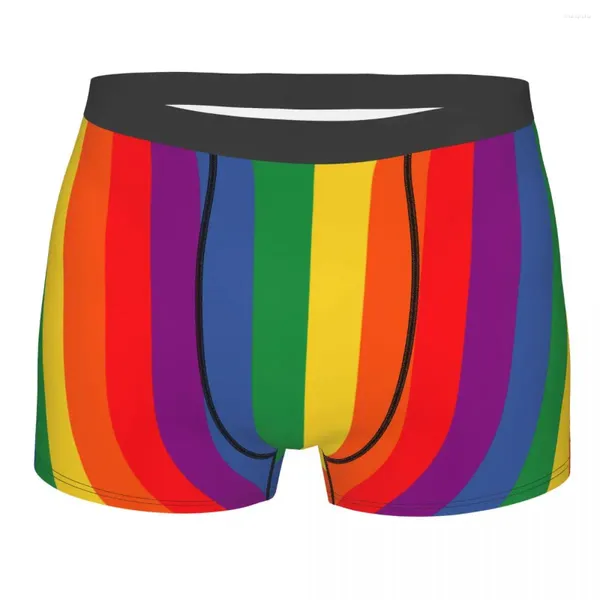 Mutande LGBT Pride Intimo uomo Gay Arcobaleno Bisessuale Lesbica Queer Asessuale Boxer Slip Pantaloncini Mutandine Moda Poliestere