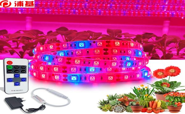 5m led planta crescer luz espectro completo 5050 crescer lâmpadas à prova dwaterproof água led lâmpada fito para estufa flor semente plant4630566