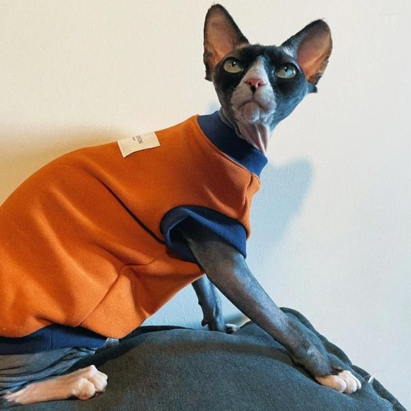 Kedi Kostümleri Kediler İçin Giysiler Bahar Devon Rex Pamuk Sweatshirt Kısa Kollu Ceket Sfinx Fashion Portakal T-Shirt Yavru Yazı Kenti