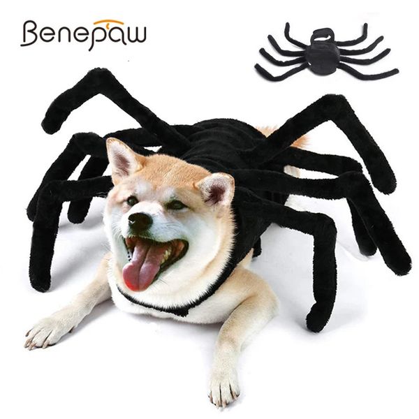 Benepaw Cane Gatto Costumi di Halloween Festa Spider Pet Vestiti Cosplay Vestire Accessori di abbigliamento per cani di taglia media Cucciolo di gatto 240226