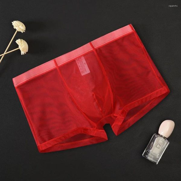 Cuecas masculinas ver através de malha roupa interior homem respirável fino fio líquido boxer briefs calcinha transparente boxershorts masculino inferior