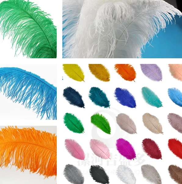 12-14 '' 30-35 cm Multi Color Feather Handwerkslieferant gefärbte Strauße dekorative Federn billige Federn für Hochzeitsfeierkostüm 2471