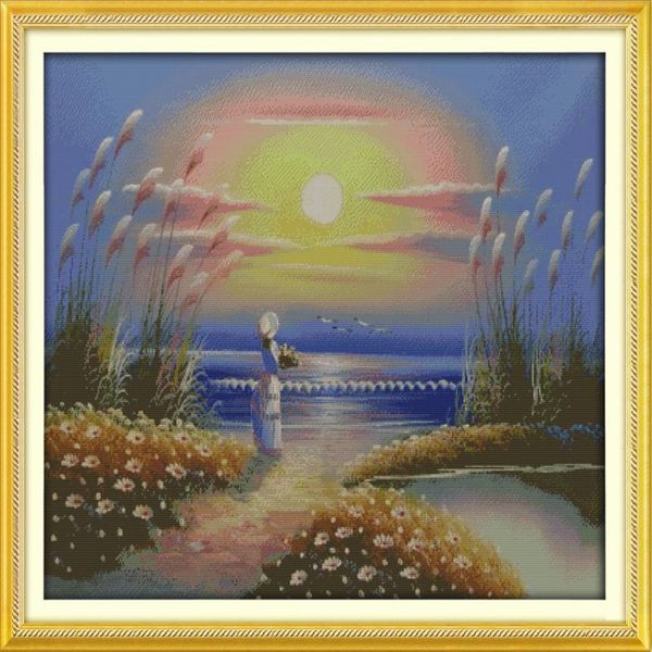 Seaside menina decoração de casa pinturas artesanais ponto cruz bordado conjuntos de costura contados impressão em tela dmc 14ct 11ct274e