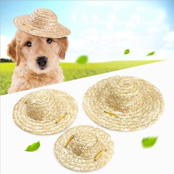 Cão vestuário verão 1 pcs pet gato legal chapéu de palha chapéus de sol filhote de cachorro suprimentos havaí estilo acessórios cães gatos caps261t