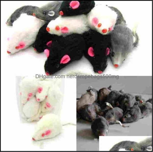 Toys Cat Real Rabbit Fur per Cat Toys Mouse con Sound 1Pc Mix Color Droplese Delivery Hu01D6639013