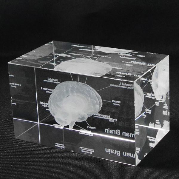 Modelo anatômico humano 3d, peso de papel, gravado a laser, cubo de vidro de cristal do cérebro, anatomia, mente, neurologia, pensamento, ciências médicas, presente 2299h
