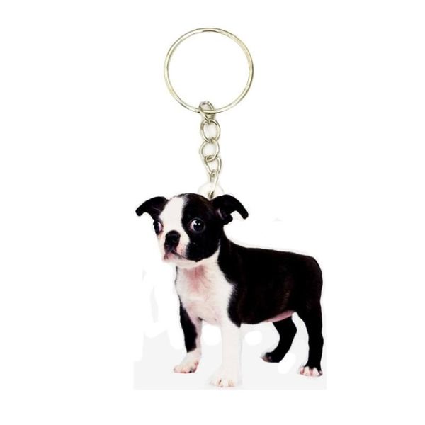 Boston Terrier Cane Acrilico Portachiavi Moda Carino Charms Portachiavi Uomo Portachiavi Anello Regalo Fidanzato Regali per le donne Abbigliamento2503