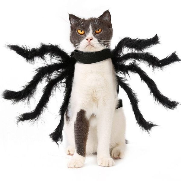 Pet Süper Komik Giyim Giyin Up Aksesuarlar Cadılar Bayramı Küçük Köpek Kostüm Kedi Cosplay Spider284f