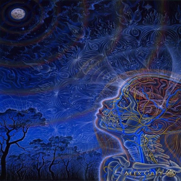 Плакат 32x24 17x13 Trippy Alex Grey, настенный постер с принтом, домашний декор, наклейки на стену, наклейка--043293y