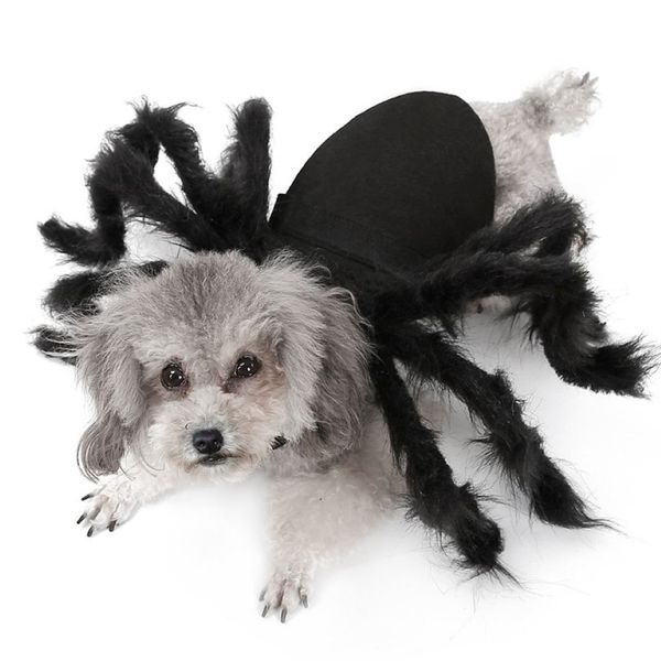 Halloween pet roupas para cães de pelúcia aranha vestir-se para cães pequenos gatos cosplay engraçado festa filhote de cachorro traje para chihuahua yorkie 2012290l