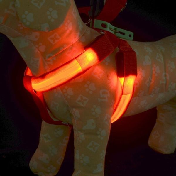 Arnês para cães de estimação recarregável E19 USB com luz LED cinto luminoso para cães médios e grandes 2335