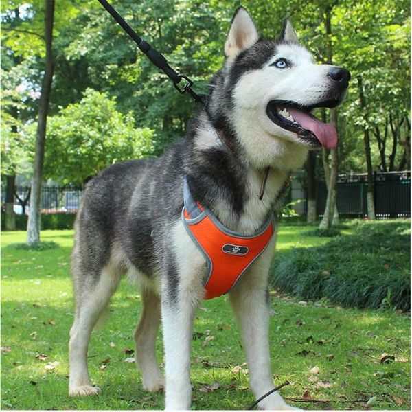 Gilet protettivo per cani Pettorine traspiranti riflettenti regolabili per cani di taglia media e grande Fascia per il seno Husky Alaskan Accessori per animali domestici 2107201Z