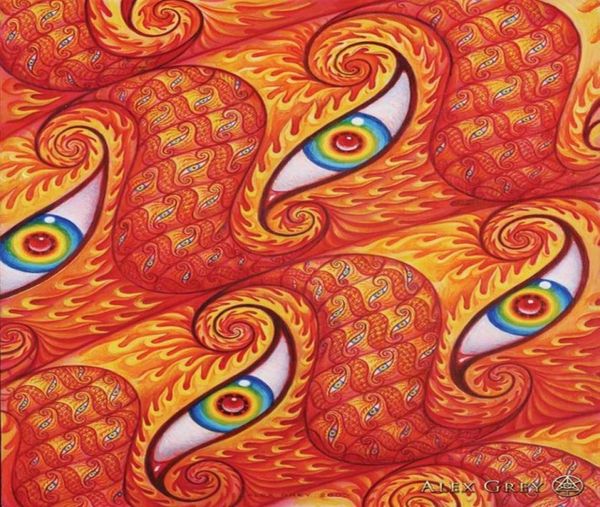 Плакат 32x24 17x13 Trippy Alex Grey, настенный постер с принтом, домашний декор, настенные наклейки, плакат Decal012228M9904479