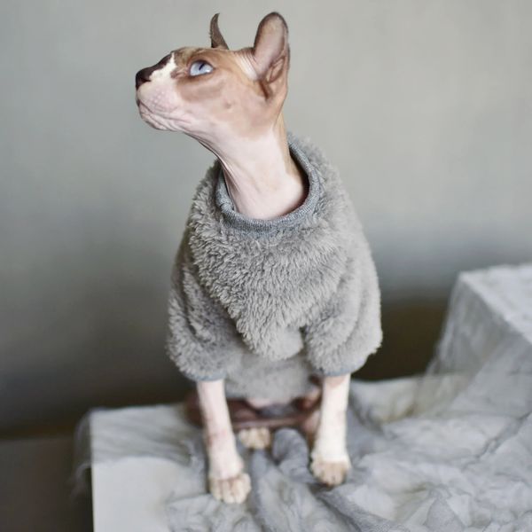 DUOMASUMI Maglione caldo per animali domestici Vestiti per gatti Sphynx Moda Abbigliamento morbido per gatti Comfort addensato Vestiti per gatti senza peli Sfinge invernale 240226